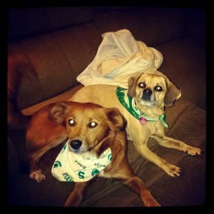 Team Page: Ruby and Omar